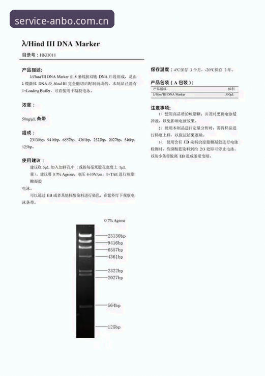 雷吉亚纳引援深度评测：奥格贝德是答案还是过渡品？安博体育平台的另类观察视角